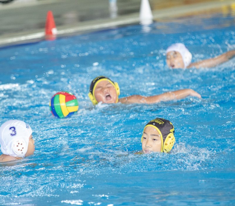 459135336_903685518447986_5484305670409944459_n